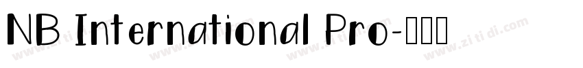 NB International Pro字体转换